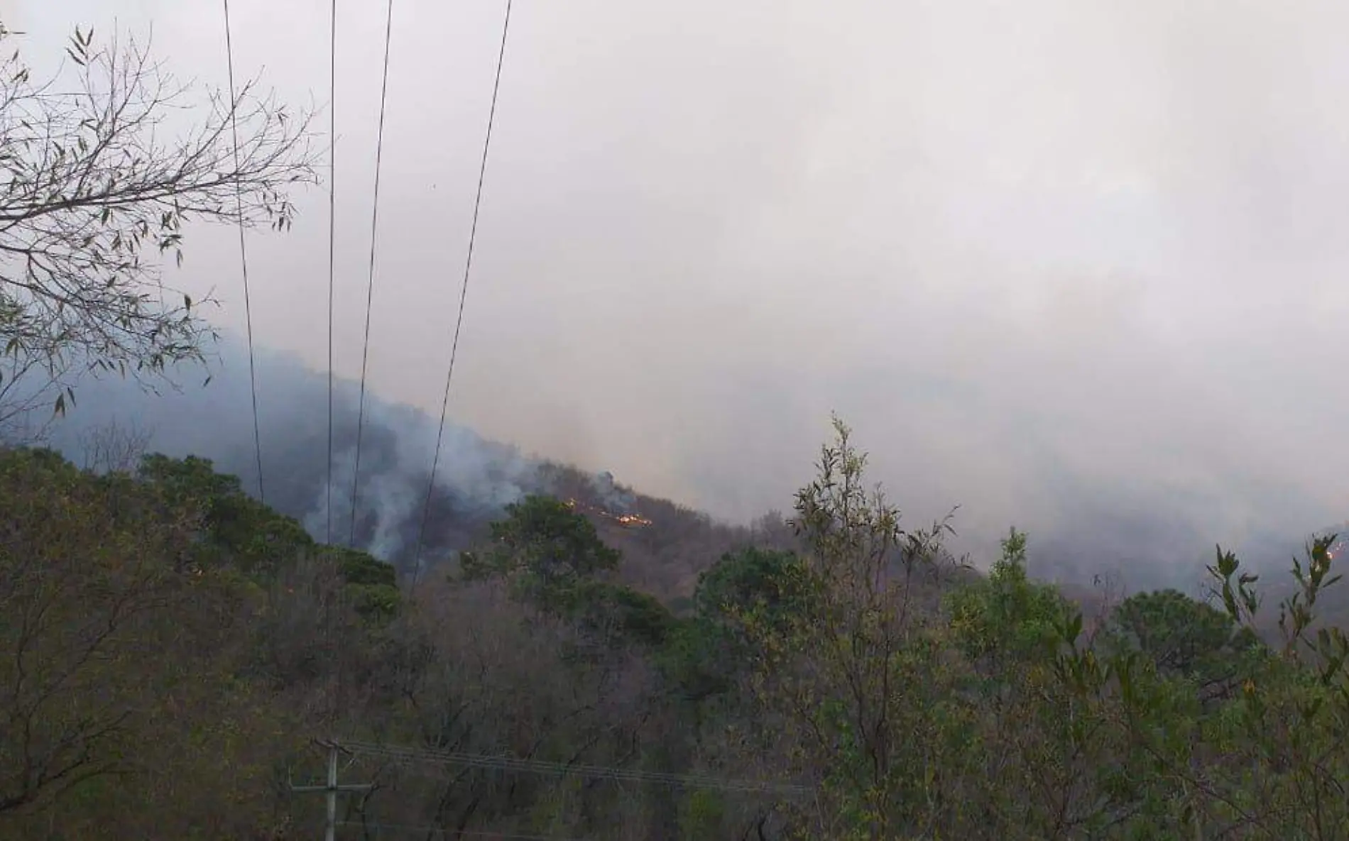 Incendio forestal en Güémez, Tamaulipas  (3)